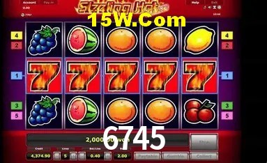 Sistemas de Segurança 6745